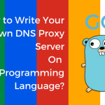 DNS Proxy On Go Programming Language Main Logo