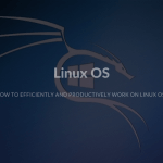 How to efficiently and productively work on Linux OS